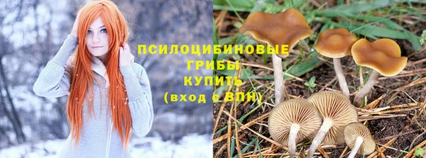 винт Алексеевка