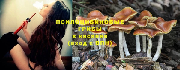 прущая мука Армянск